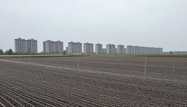 农产品加工效益提升中的节点可查关键因素